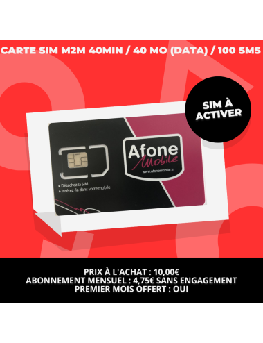 Carte SIM M2M 40min / 40 MO (data) / 100 SMS - Communication Sécurisée pour Alarmes GSM