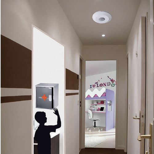 Hikvision DS-PDCL12-EG2-WE